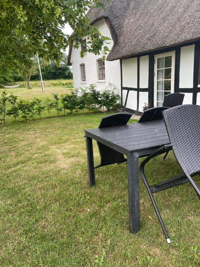 Baekgaarden 3 Rooms Apartment - Old Farm House Odense Exteriér fotografie